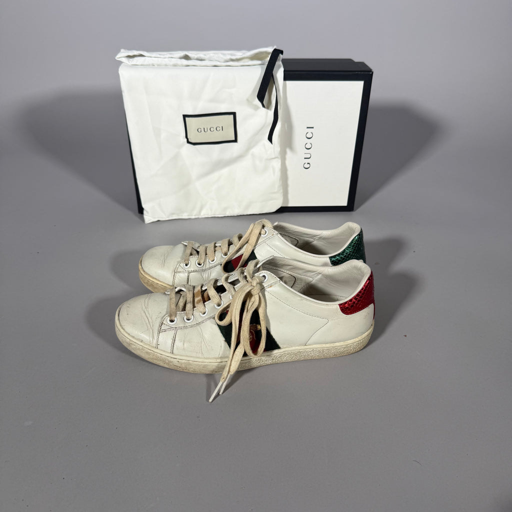 Gucci Ace White - 37